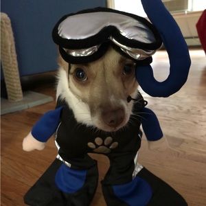 Dog Scuba Costume Size S
